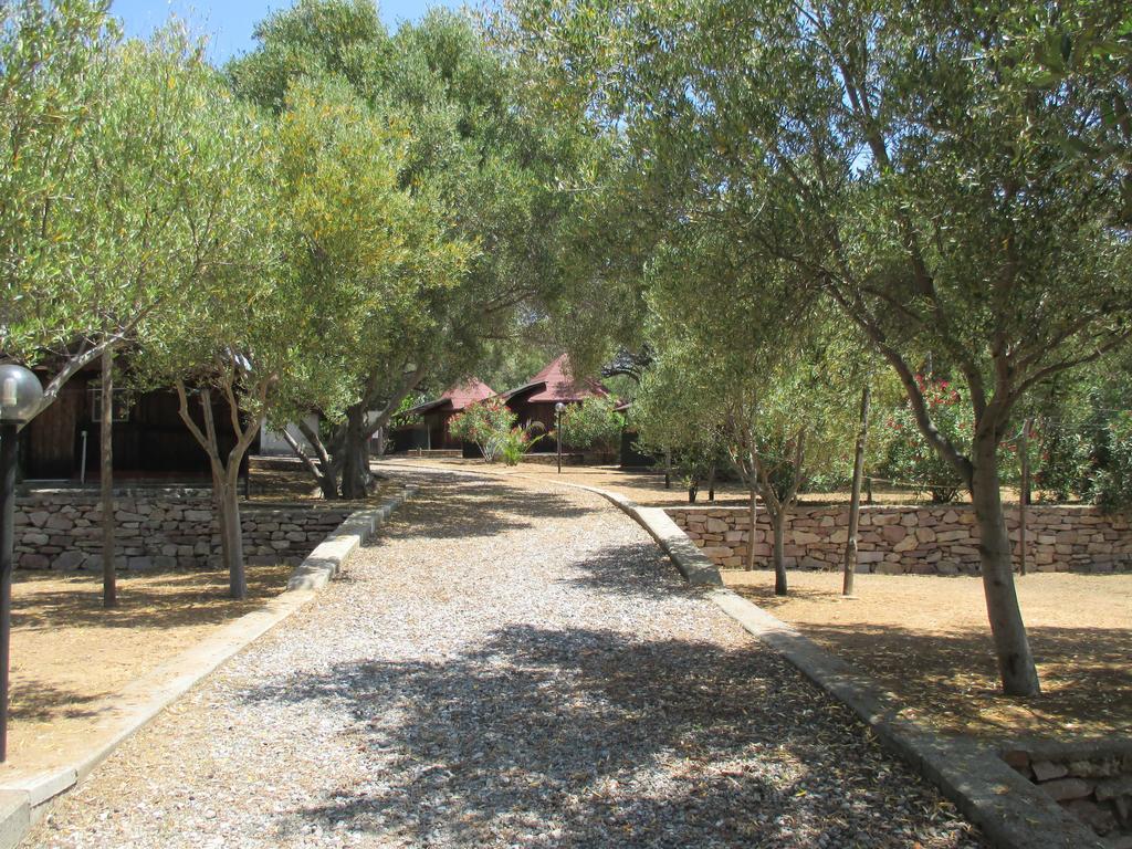 Campsite Amanti Del Mare Palinuro