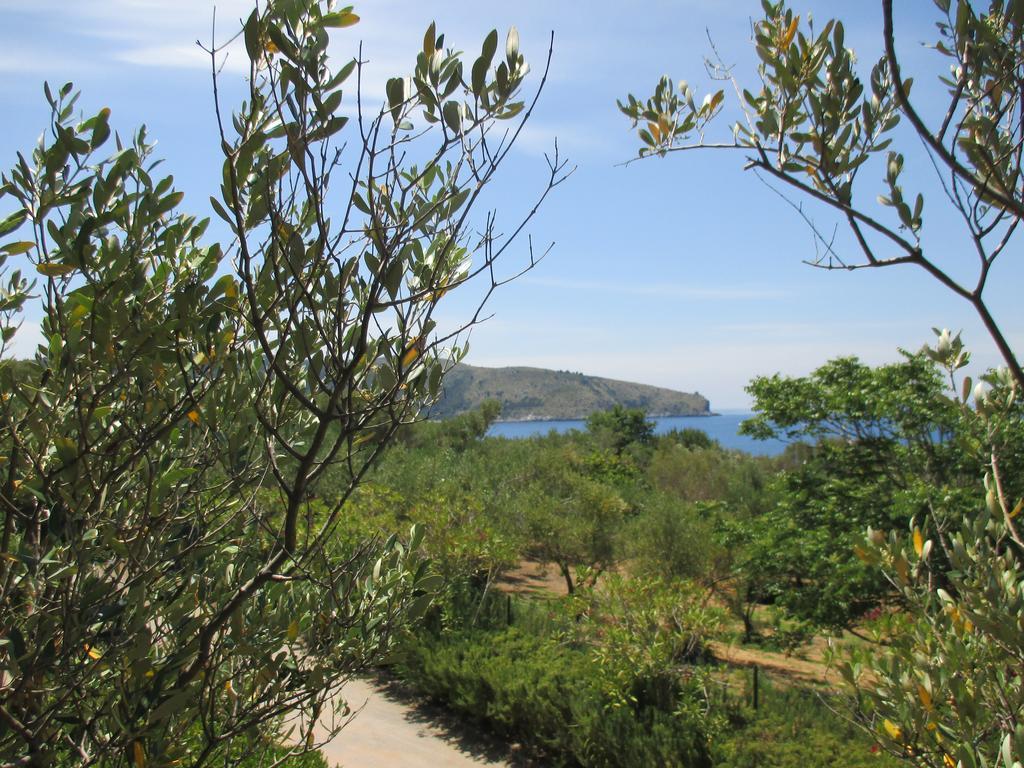 Campsite Amanti Del Mare Palinuro